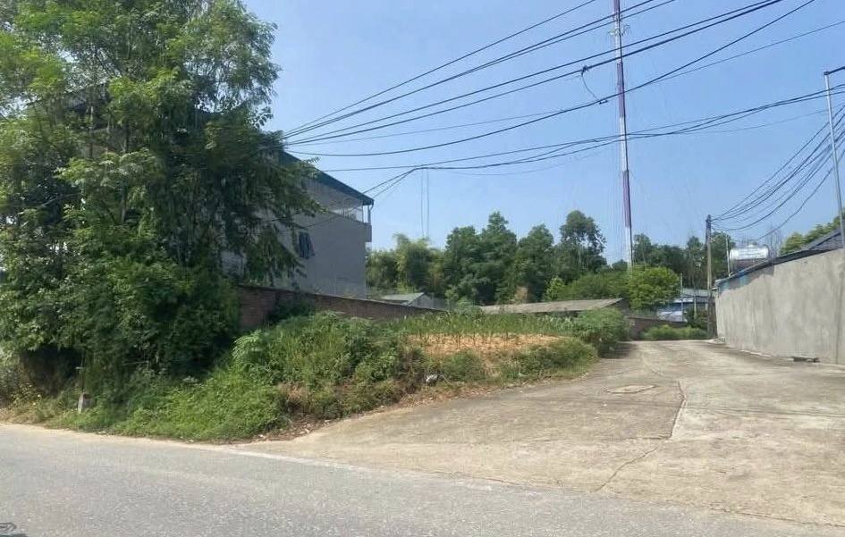 Lô đất góc 2 mặt tiền đường 318, phường Âu Cơ, 115.5m² giá 1.6 tỷ - Cơ hội đầu tư tuyệt vời!