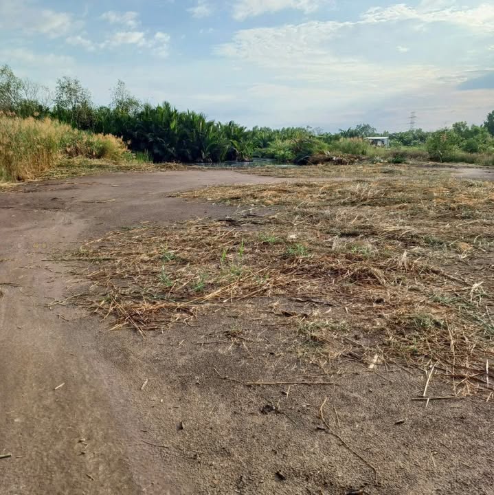 Đất trồng cây lâu năm Hiệp Phước 1800m² giá 3.06 tỷ - Cơ hội vàng cho nhà đầu tư!