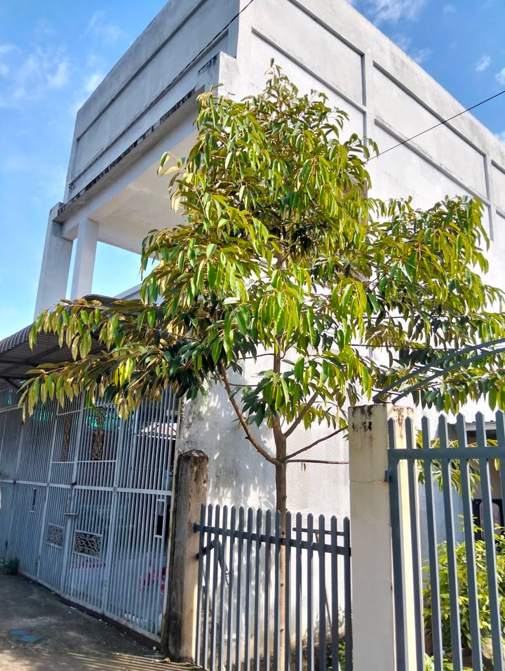 Nhà nguyên căn Trần Phú, Long Khánh, Đồng Nai 3 phòng ngủ chỉ 3,5 triệu/tháng - Sẵn sàng cho thuê!