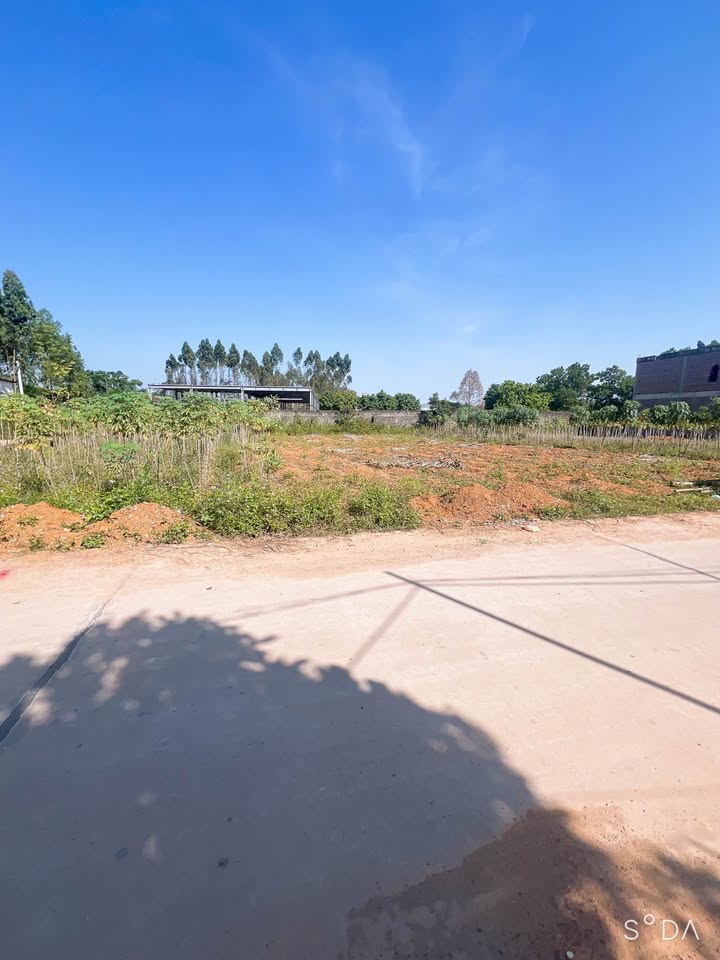 Đất thổ cư 337m² tại Thanh Đình, Việt Trì - Giá chỉ 3 tỷ, hướng Nam!