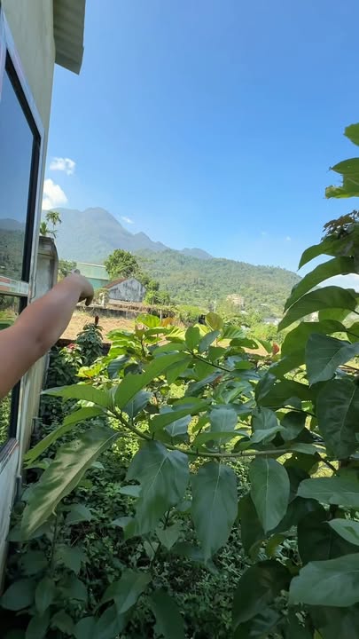 Đất Yên Bài, Ba Vì 1000m² giá 6 tỷ - Sổ đỏ chính chủ, mặt tiền rộng!