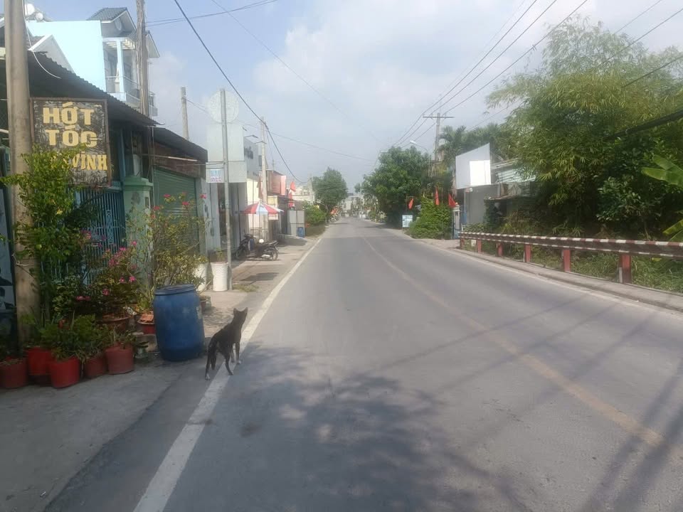 Bán đất tặng nhà mặt tiền đường Bình Mỹ, Củ Chi 138m² giá 5.5 tỷ - Cơ hội đầu tư tuyệt vời!