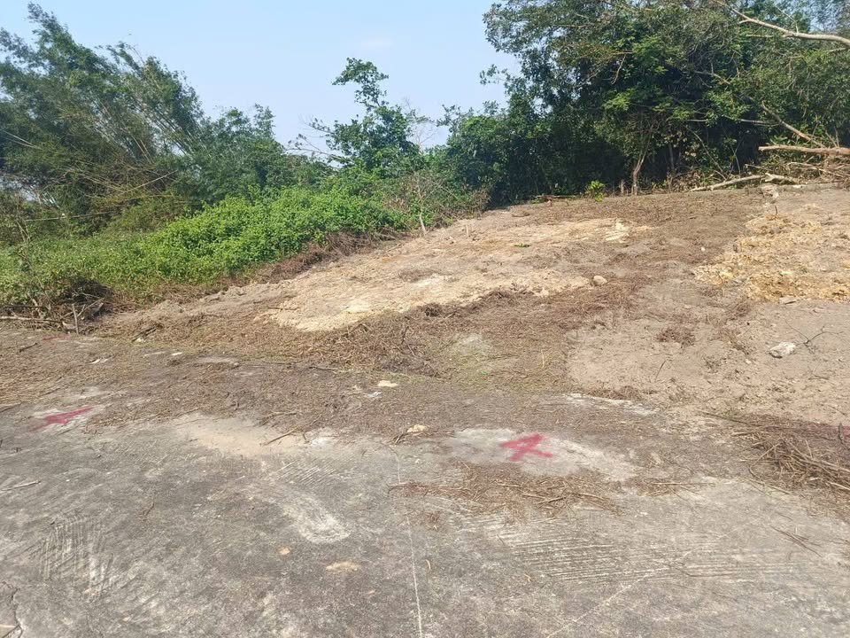 Đất nền Xuân Giang Nghi Xuân 112m² giá 600 triệu - Gần khu công nghiệp sầm uất!