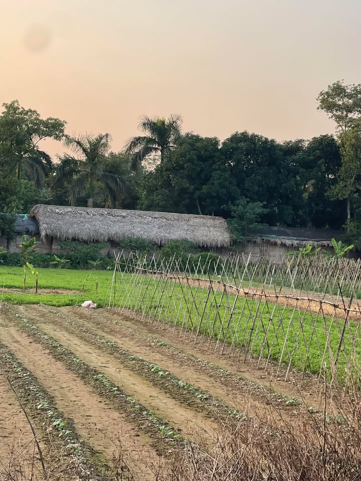 Đất vườn Yên Mỹ - Thanh Trì 720m² giá 3.6 triệu/m² - Nghỉ dưỡng lý tưởng cuối tuần!