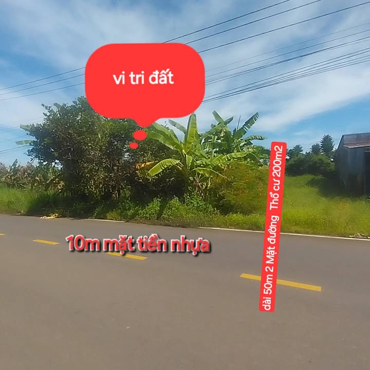 Đất thổ cư 500m² tại xã Phú Vinh, Đồng Nai - Mặt tiền đường nhựa, giá 1.6 tỷ thương lượng!