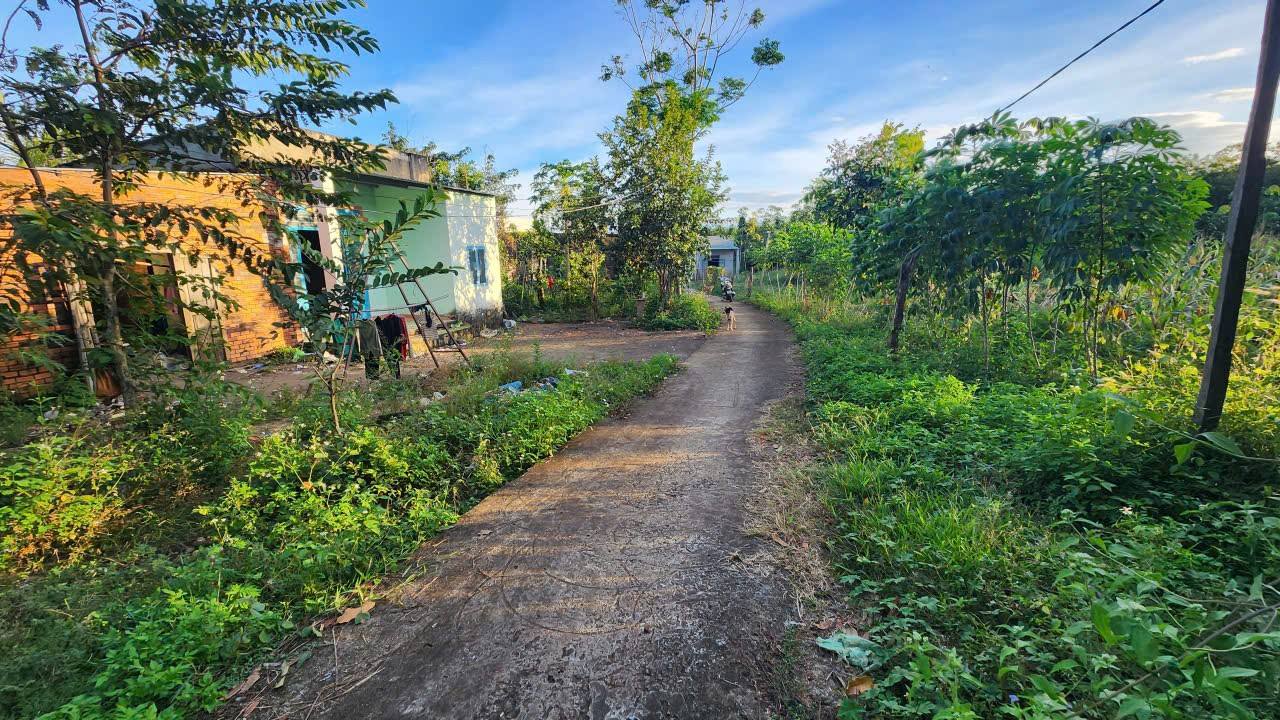 Đất nền ấp 10 Mẫu Bù Đốp 1440m² chỉ 390 triệu - Cơ hội đầu tư tốt!