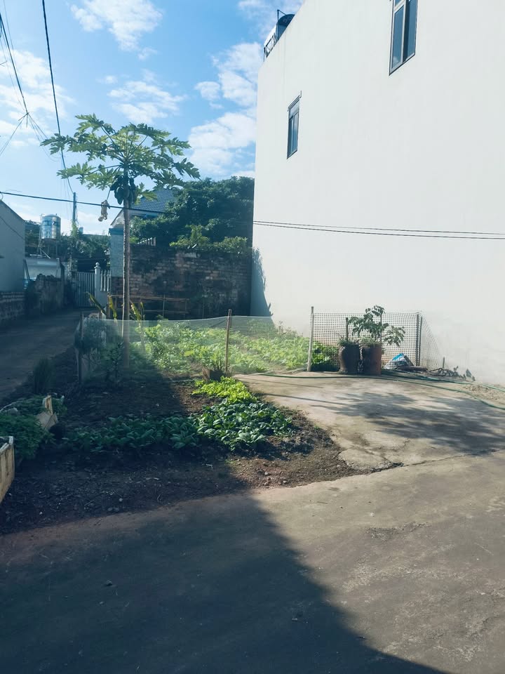 Đất nền Lạng Giang Bắc Giang 96m² giá 1 tỷ - Đầu tư sinh lời ngay!