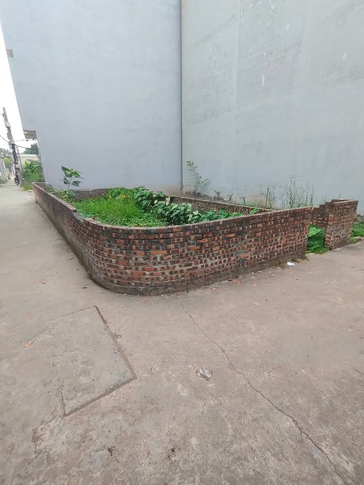 Đất lô góc Phúc Lợi Long Biên 40m² giá 6 tỷ - Ô tô vào tận nơi!