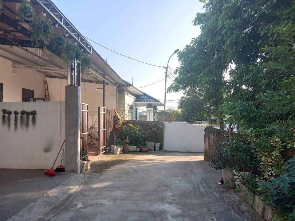 Đất thổ cư Dữu Lâu, Việt Trì 134m² giá 2 tỷ - Cơ hội đầu tư hấp dẫn!