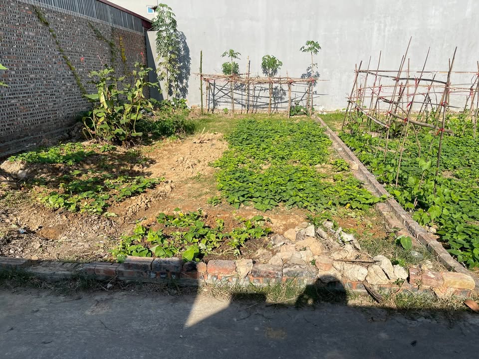 Đất nền Xuân Dục, Mỹ Hào 85m² giá 2 tỷ - Ô tô vào tận nơi!