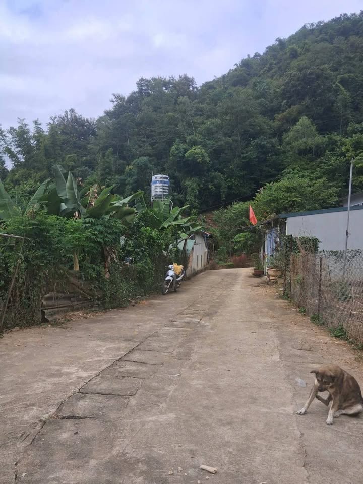 Đất nền Tô Hiệu Sơn La 526m² giá 1.55 tỷ - Đầu tư sinh lời ngay!