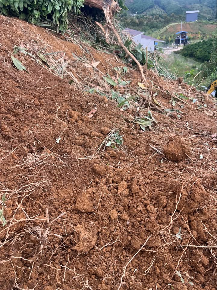 Đất thổ cư thôn 4 Lộc Bắc 9000m² giá 1.125 tỷ - Sổ đỏ chính chủ