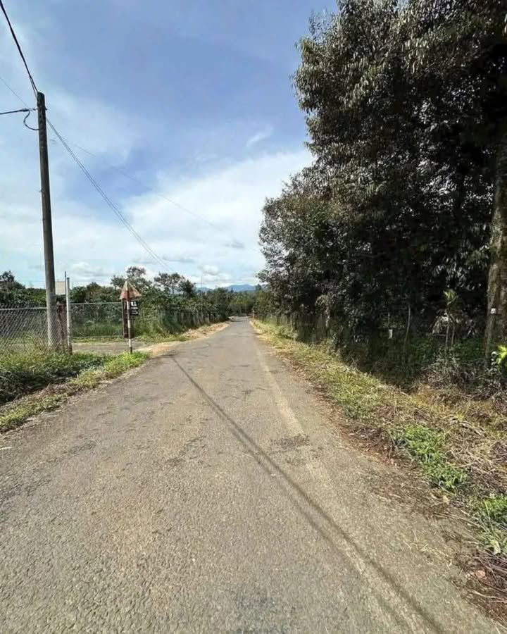 Đất nền Tố Hữu B'Lao 100m² giá 1.07 tỷ - Đường ô tô vào tận nơi!