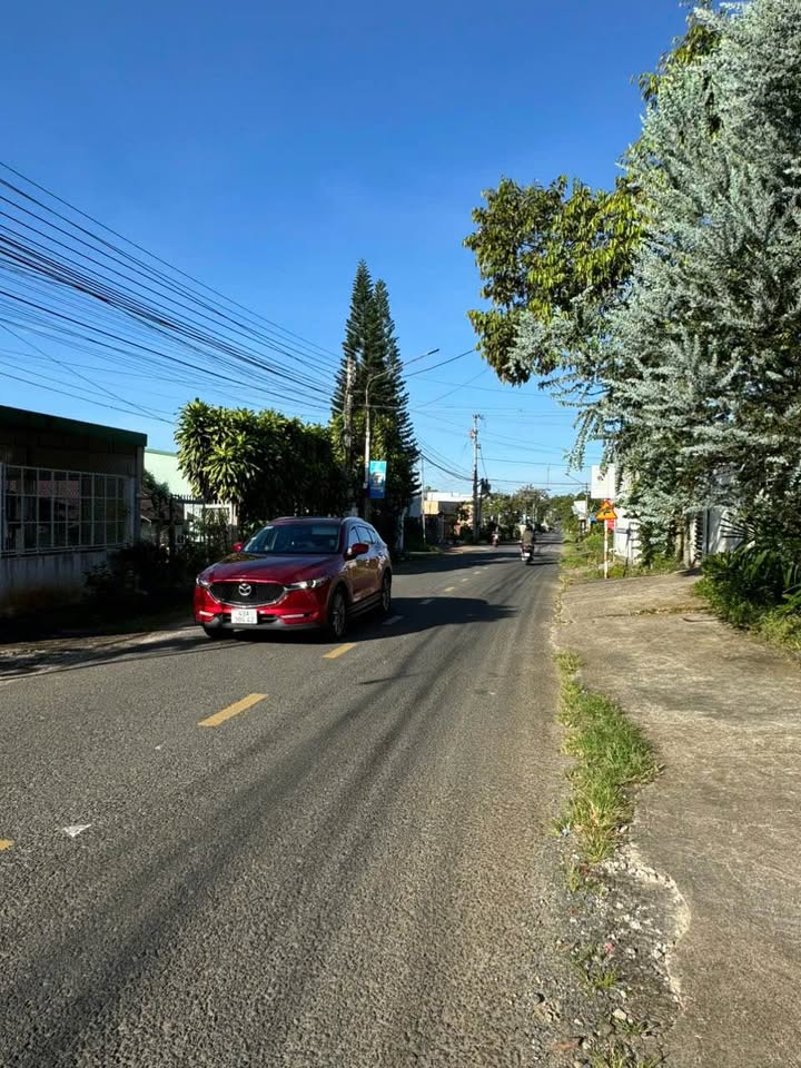 Đất thổ cư mặt tiền đường Nguyễn Hữu Chỉnh Bảo Lộc 852m² giá 6.5 tỷ - Vị trí đắc địa cho kinh doanh!