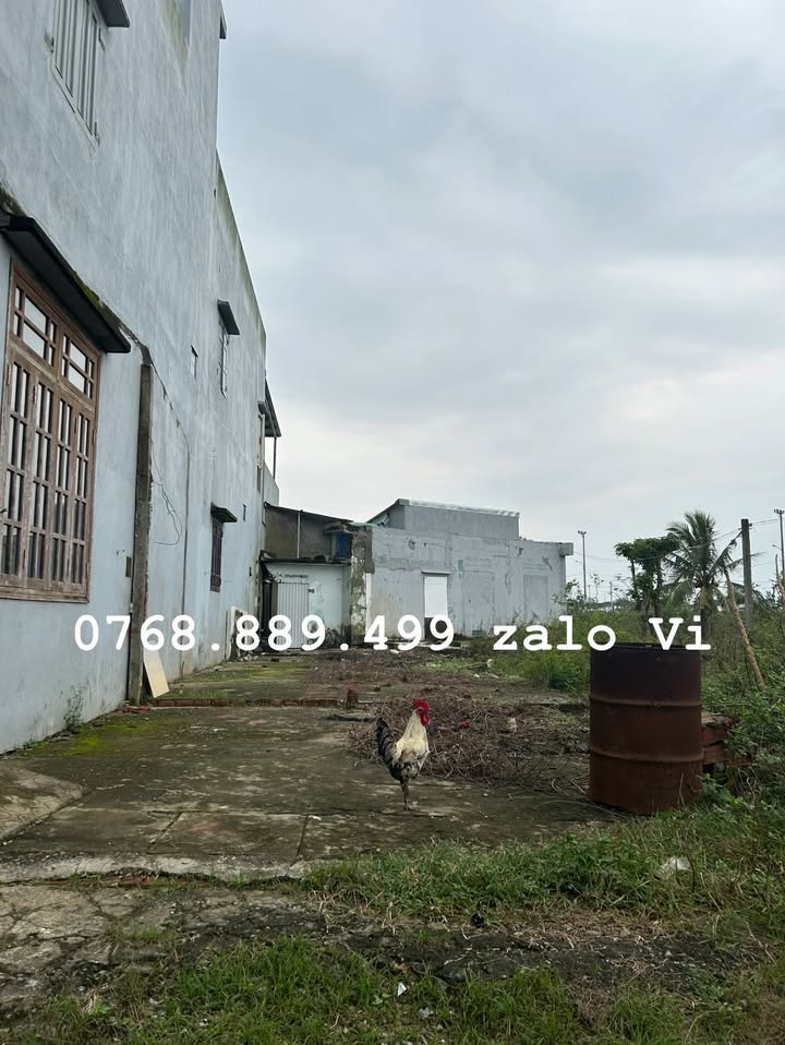 Đất mặt tiền Lưu Quang Vũ Hòa Quý 100m² giá 2 tỷ - Cơ hội đầu tư sinh lời!