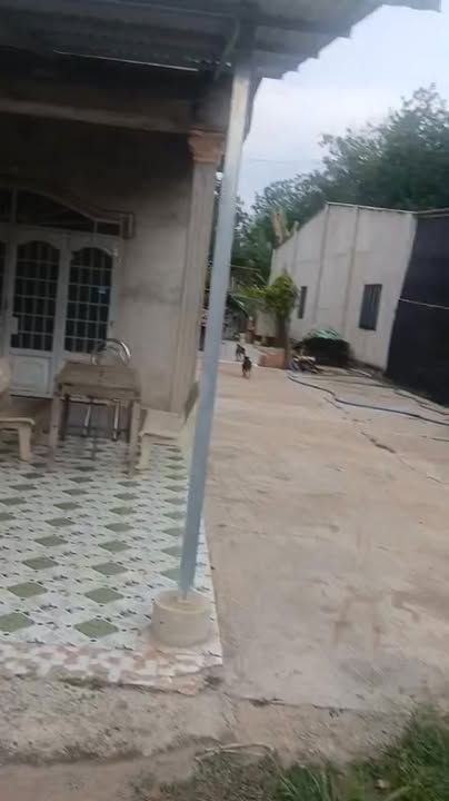 Đất nền Tân Hiệp 200m² giá 385 triệu - Mặt tiền đường nhựa thuận lợi!