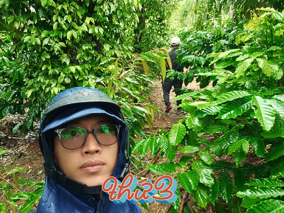 Đất nền trung tâm phường Thống Nhất 2000m² giá 2.5 tỷ - Cơ hội đầu tư hấp dẫn!