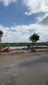 Đất nền quy hoạch tại xóm 4, Đông Sơn, 154m² giá chỉ 2.3 tỷ - Đầu tư sinh lời ngay!