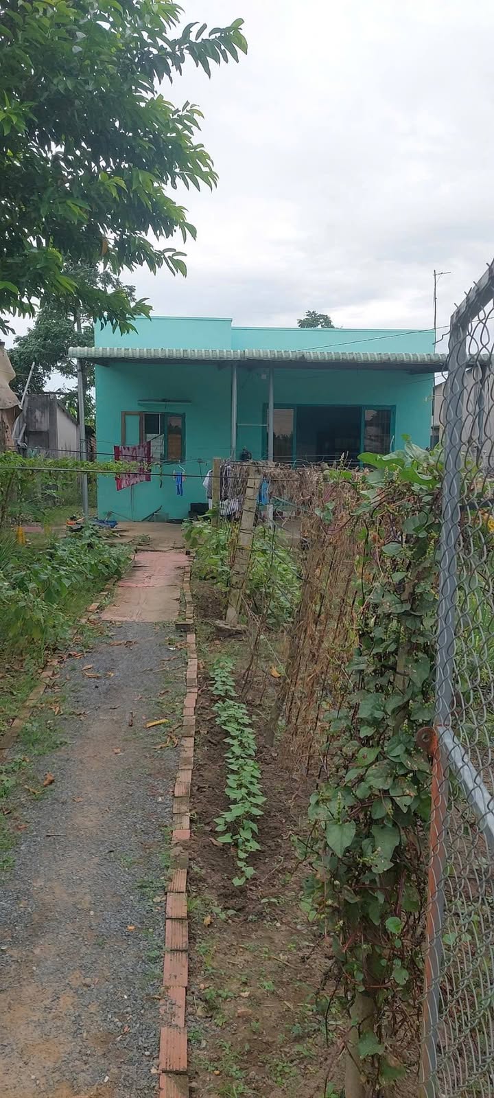 Nhà vườn 750m² tại Vĩnh Cửu, Đồng Nai - Sổ đỏ chính chủ, giá tốt!