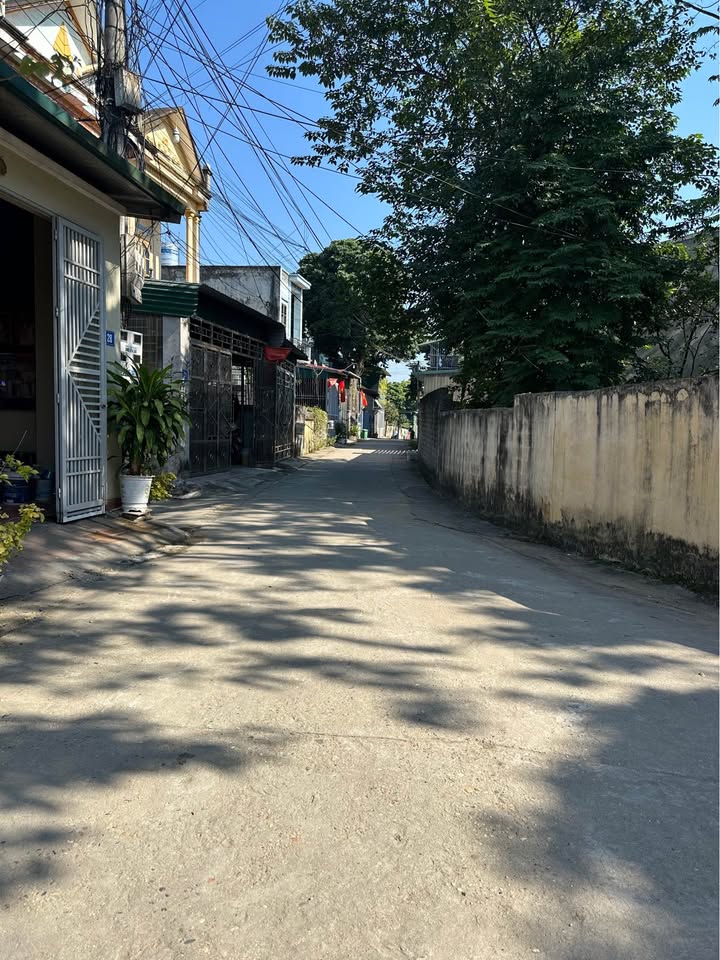 Đất nền An Tường, Yên Sơn 120m² giá 1.65 tỷ - Hướng Đông phong thủy đẹp!