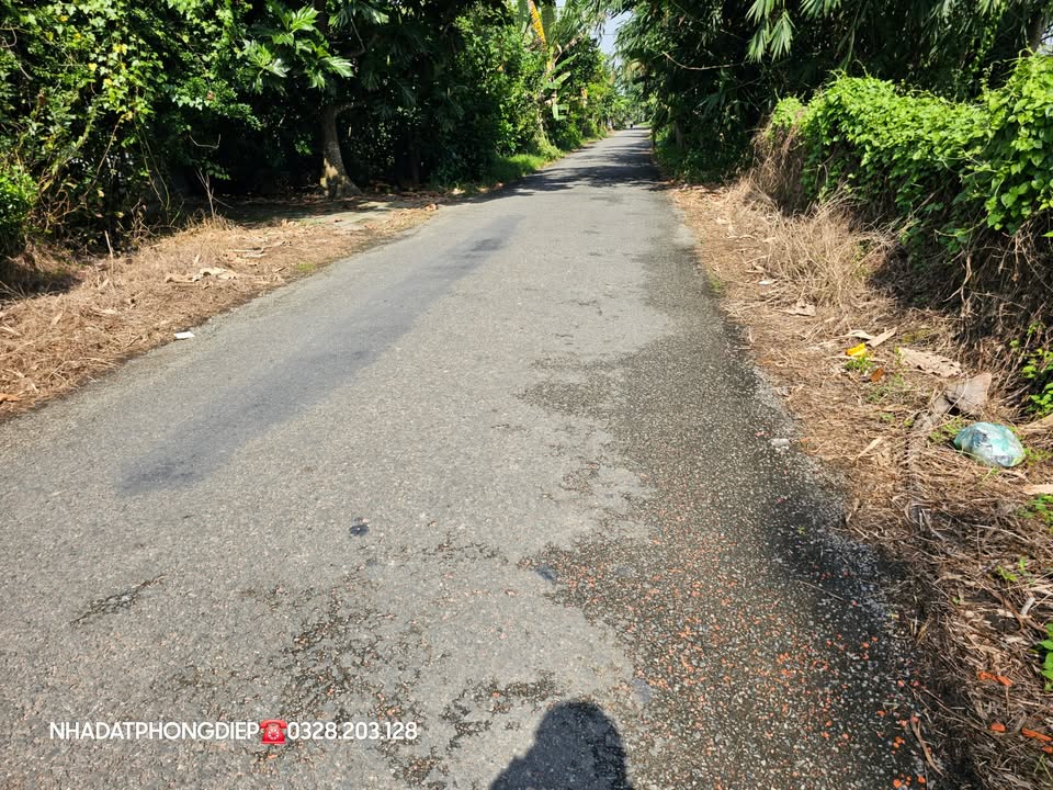 Đất nền Tân Thiềng 215m² giá 1 tỷ - Mặt tiền rộng, đầu tư sinh lời!