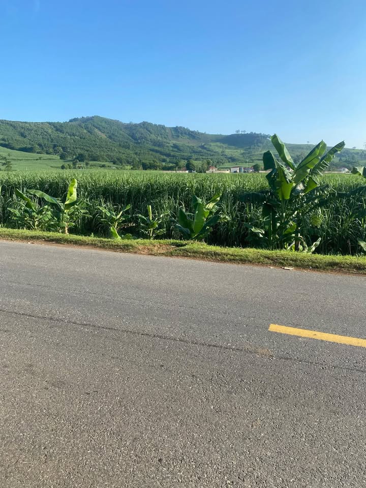 Đất đấu giá Quốc lộ 217 Vĩnh Lộc 120m² giá chỉ từ 800 triệu - Cơ hội đầu tư hấp dẫn!