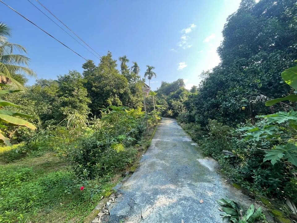 Lô đất Farm 2900m² tại Hòa Sơn, Lương Sơn - Nghỉ dưỡng lý tưởng chỉ 38km Hà Nội!