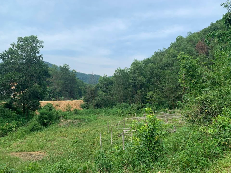 Đất ở xã Đú Sáng, Kim Bôi 1628m² giá 2 tỷ - Đầu tư sinh lời ngay!