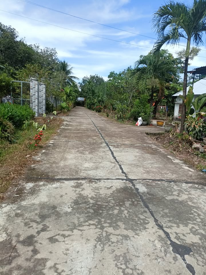 Đất nền Nam Chính, Đức Linh 378m² giá 430 triệu - Cơ hội đầu tư hiếm có!