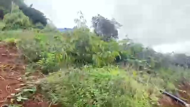 Đất nền 2,4ha Đạ Tồn Lâm Đồng giá 1,5 tỷ - Sổ đỏ đầy đủ, hỗ trợ làm sổ