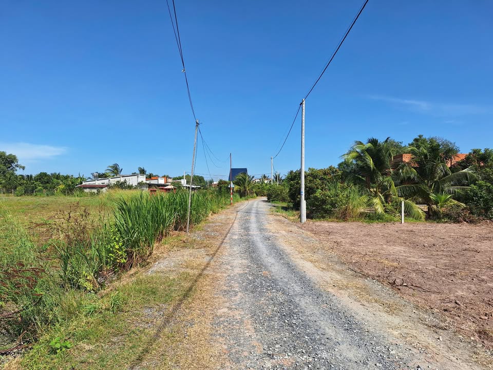 Đất nền 1000m² xã Phước Thạnh, huyện Gò Dầu, Tây Ninh - Sổ hồng chính chủ chỉ 750 triệu!