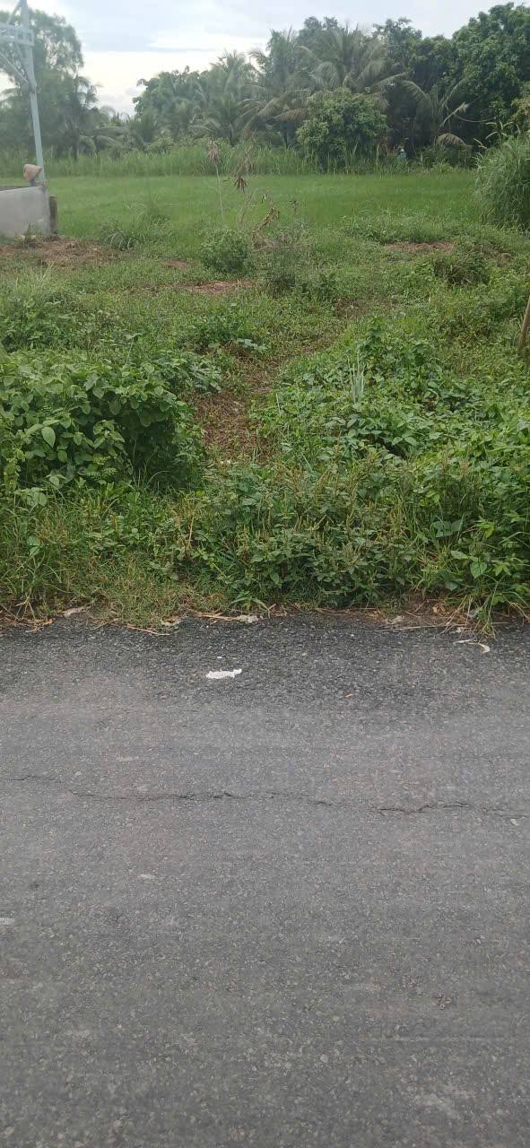 Đất 2 mặt tiền view kênh N8, ấp Bình Ninh, 187m² - Giá chỉ 350 triệu!