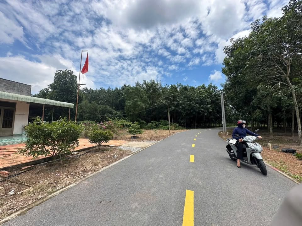 Đất nền Phước Thành, Phú Giáo 250m² giá 400 triệu - Cơ hội đầu tư không thể bỏ lỡ!