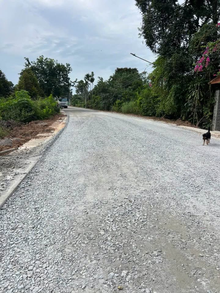 Đất thổ cư 156m² Phú An, Bến Cát giá 1.5 tỷ - Dân cư đông đúc!