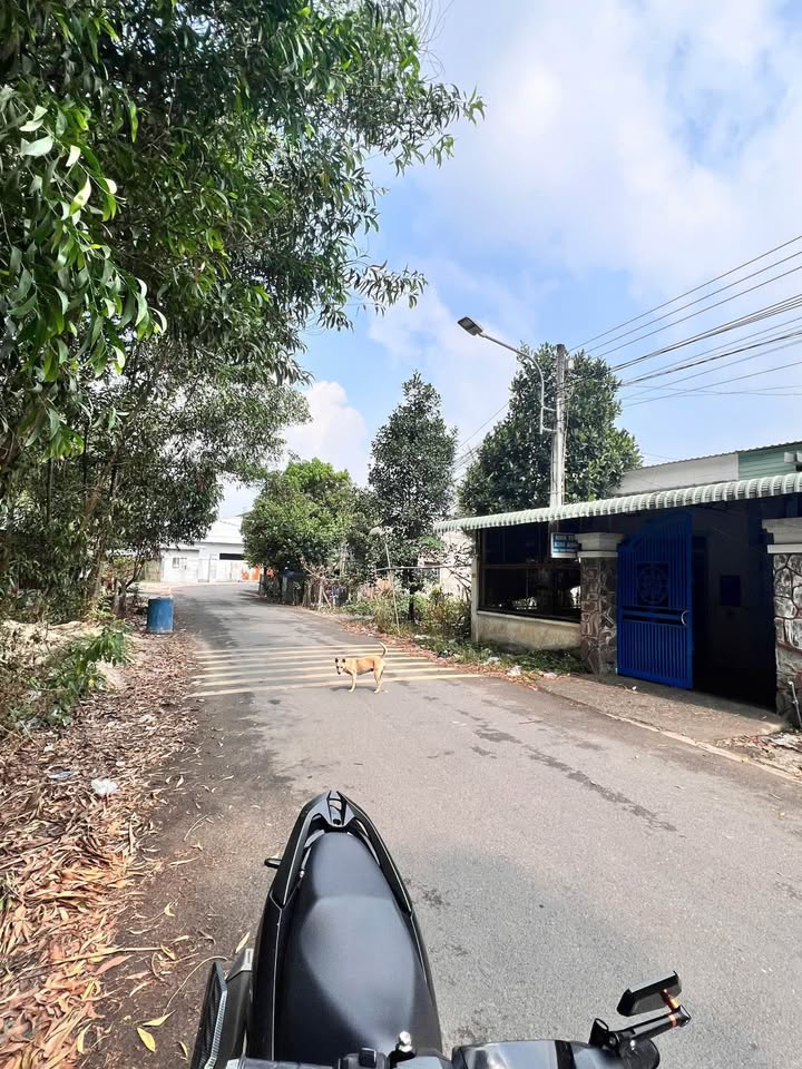 Đất thổ cư xã Phú An Bến Cát 960m² giá 5 tỷ - Tiềm năng phát triển mạnh mẽ!