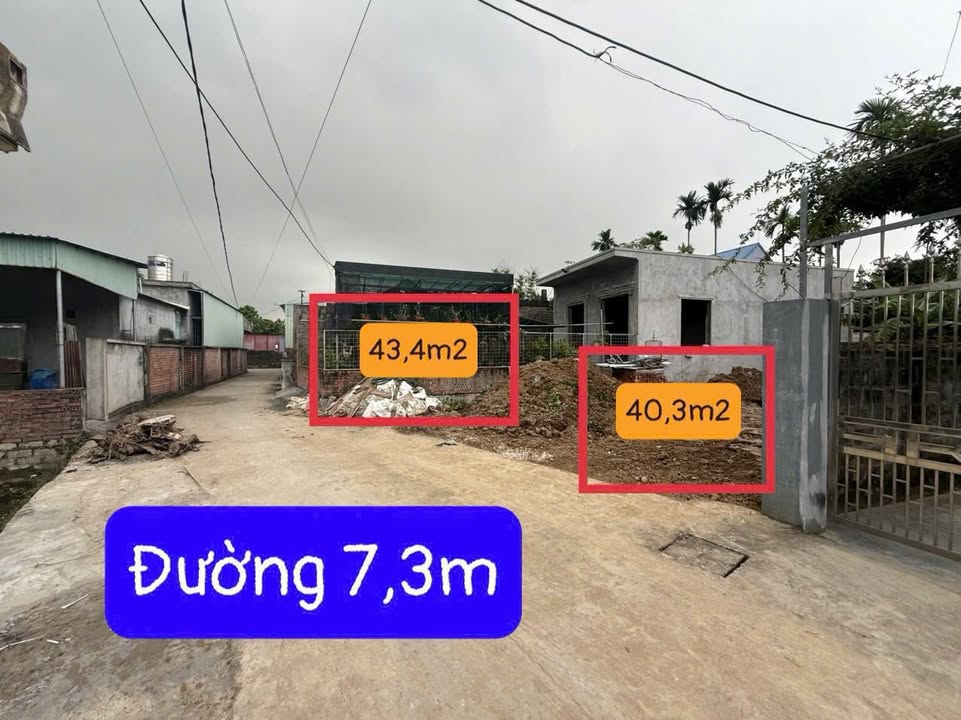 Đất nền Hoa Động Thủy Nguyên 42m² giá 1.55 tỷ - Cơ hội đầu tư hiếm có!