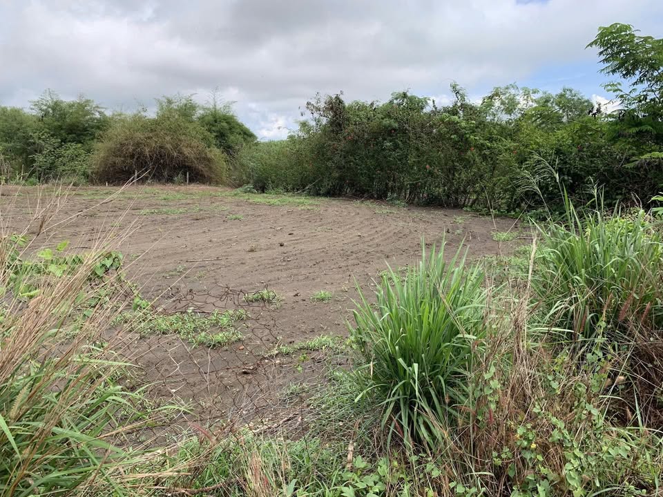 Đất nền 500m² xã Hòa Hiệp, Xuyên Mộc - Giá chỉ 900 triệu, đầu tư lý tưởng!