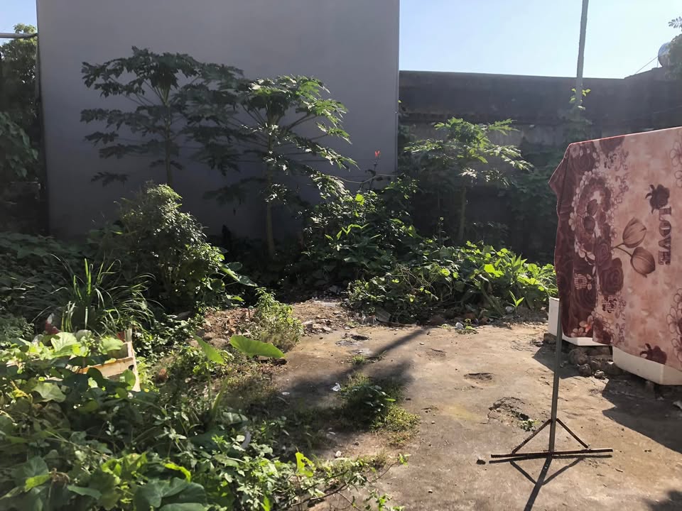 Đất nền Phù Lỗ, Sóc Sơn 90m² giá chỉ 2 tỷ - Cơ hội đầu tư tuyệt vời!