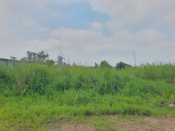 Đất thổ cư 330m² tại Thiện Tân, Vĩnh Cửu giá 3.2 tỷ - Sổ đỏ riêng, phù hợp làm kho!