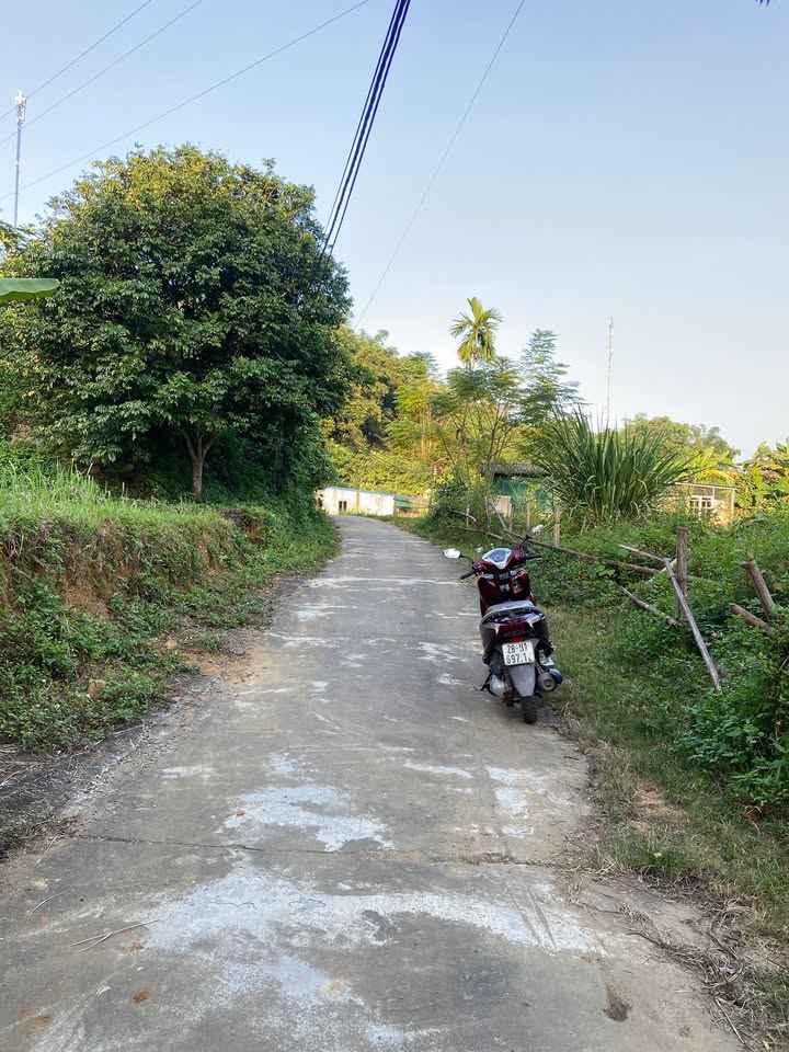 Lô đất Tân Hòa Hòa Bình 220m² giá 1 tỷ - Vị trí đẹp, sổ đỏ chính chủ!