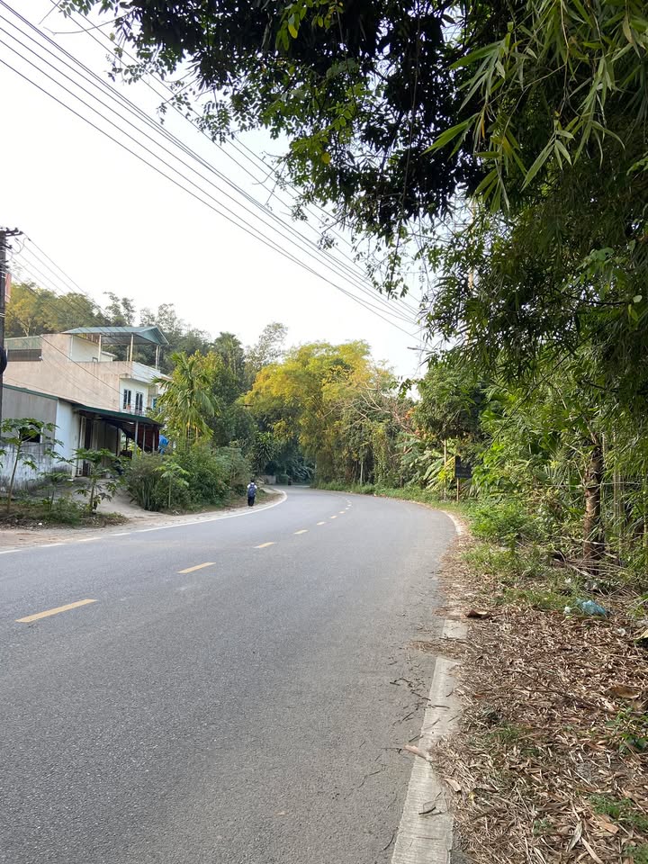 Đất nền mặt đường 317 Tân Hòa - Hòa Bình 100m² giá chỉ 2 tỷ - Đầu tư sinh lời ngay!