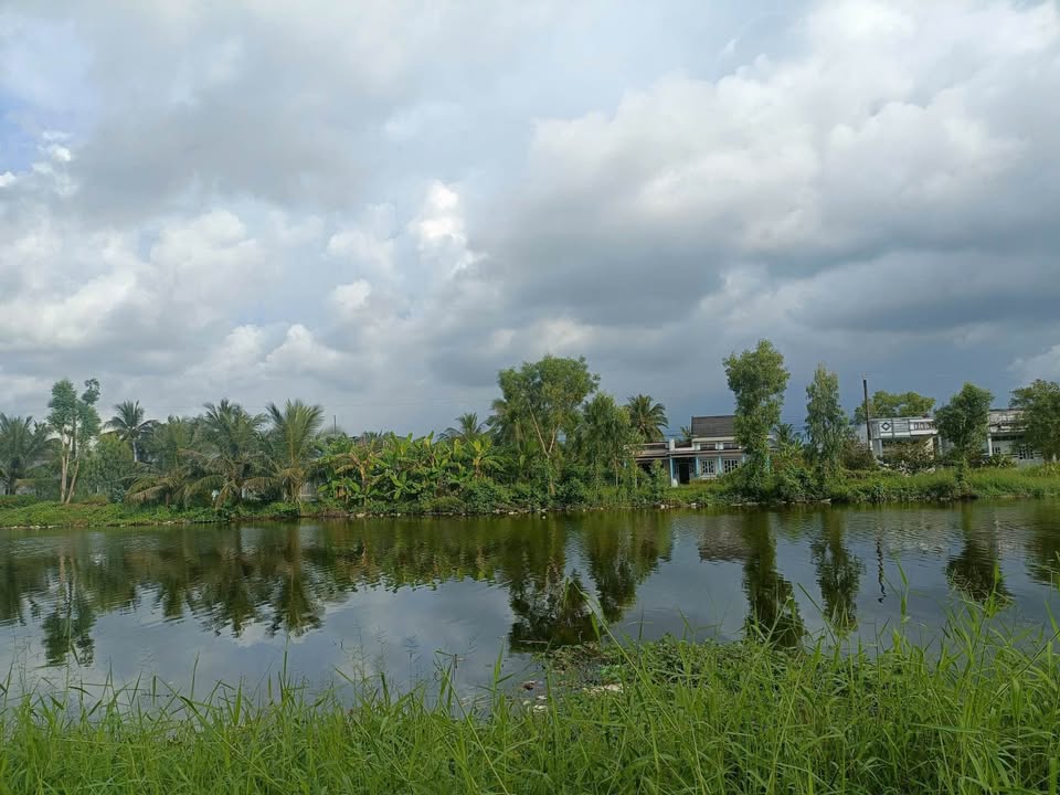 Đất nền mặt tiền Kênh Xáng Bạch Ngưu 552m² giá 540 triệu - Sổ hồng chính chủ!