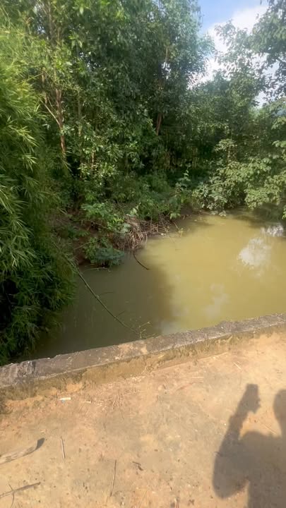 Đất thổ cư 200m² tại Tân Hà, Lâm Đồng - Giá chỉ 600 triệu, cần bán gấp!