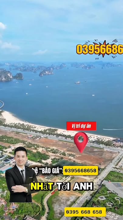 Căn hộ Sun Centro Town Hạ Long 12000m² - Đẳng cấp bên bờ biển Bãi Cháy!