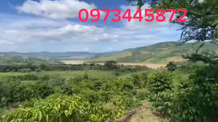 Đất cà phê Bảo Thuận 14400m² giá 3.6 tỷ - Nhà ngắm view sông tuyệt đẹp!