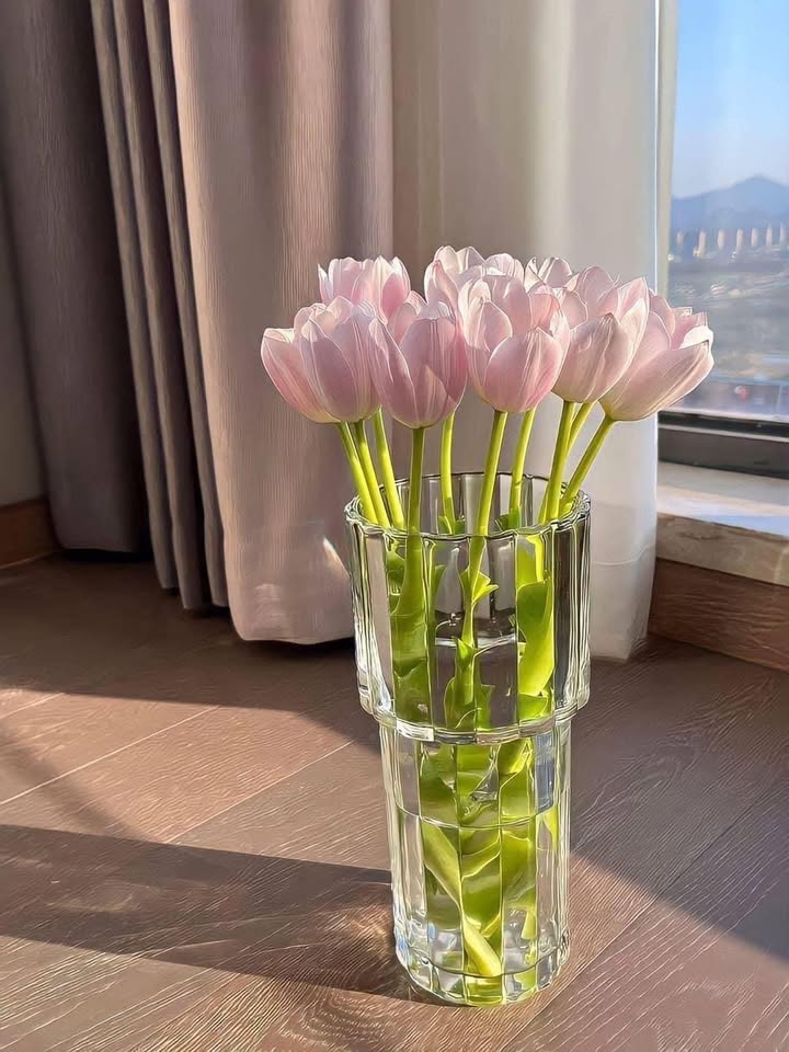 Đất nền Vạn Xuân - Phổ Yên 81m² giá 1.2 tỷ - Đầu tư sinh lời ngay!