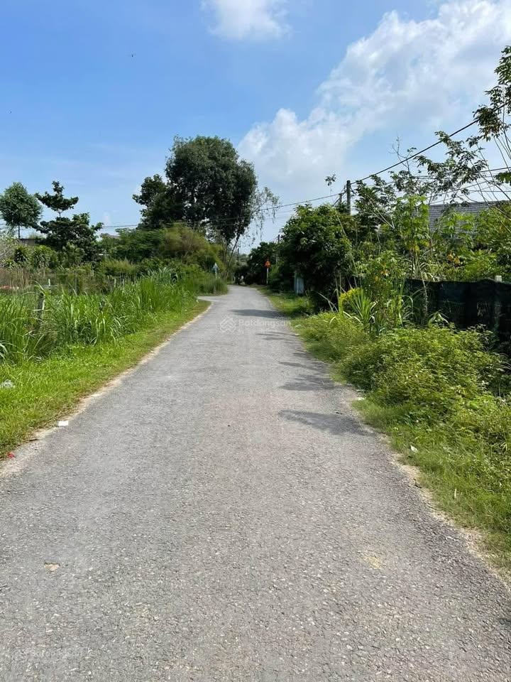 Đất thổ cư Hiệp Thạnh, Gò Dầu 241m² giá 490 triệu - Cơ hội đầu tư tuyệt vời!