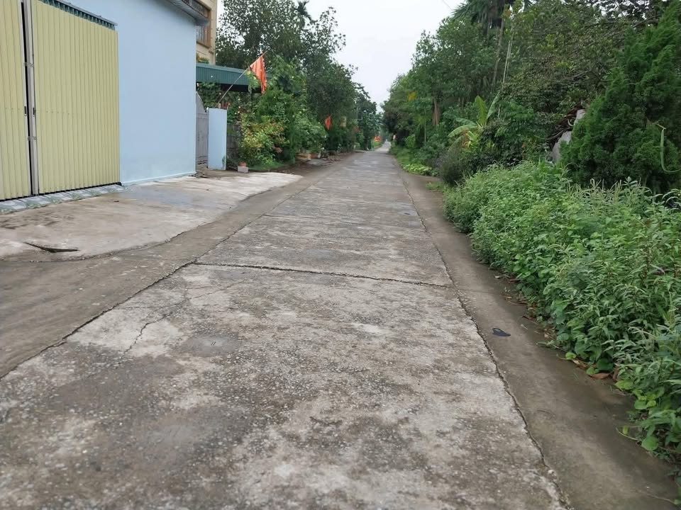 Nhà cấp 4 Hòa Sơn, Lương Sơn 100m² chỉ 750 triệu - Sẵn sàng vào ở ngay!