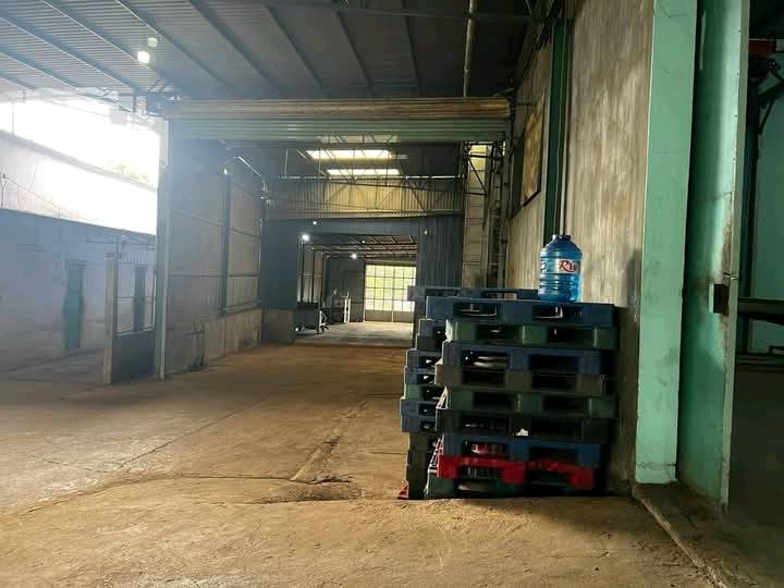 Xưởng sản xuất hạt điều 5025m² tại Sơn Giang, Phước Long - Giá thỏa thuận hấp dẫn!