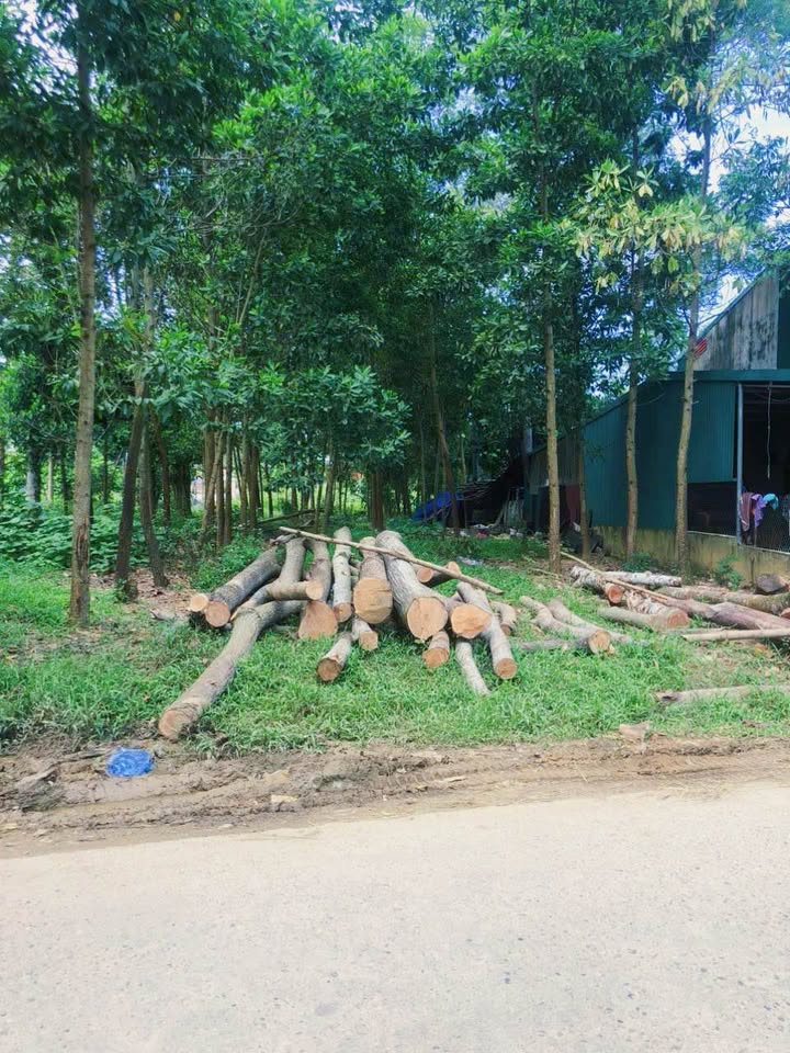 Đất nền Thắng Quân, Yên Sơn 234m² - View hồ thoáng đẹp, chính chủ bán gấp!